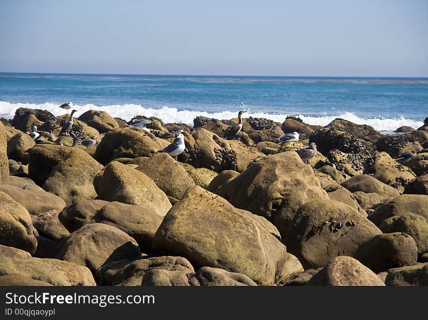 Ocean Beach