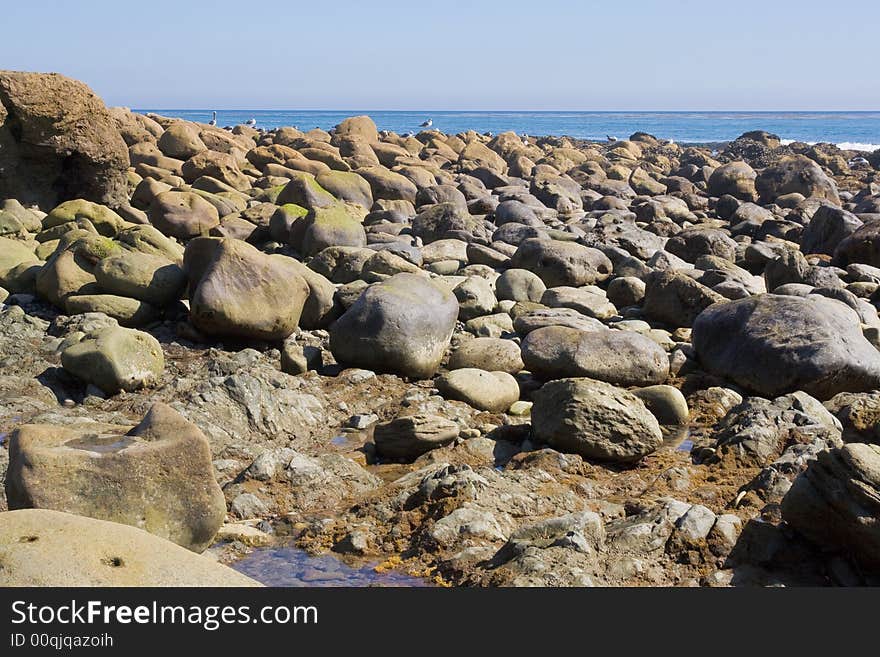 Ocean Beach