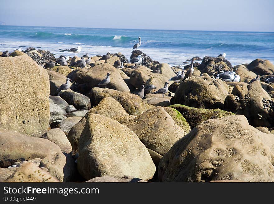 The California Ocean Beach View