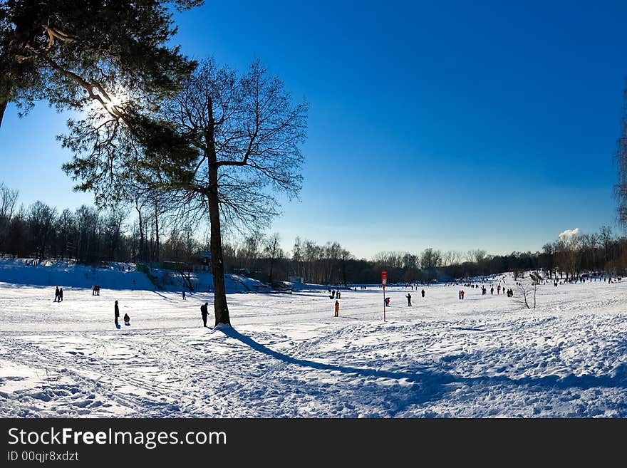 Winter landscape with sun and snow. Winter landscape with sun and snow