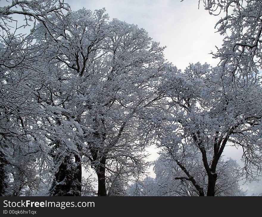 The morning after a snowfall in medford, or usa. The morning after a snowfall in medford, or usa.