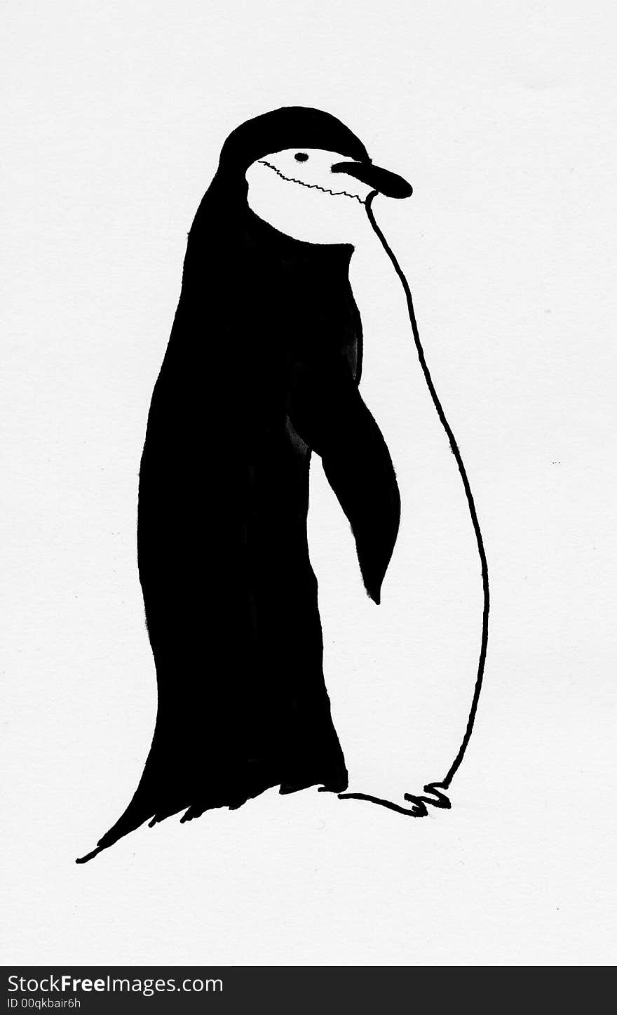 Hand-painted pen illustrations。Penguin