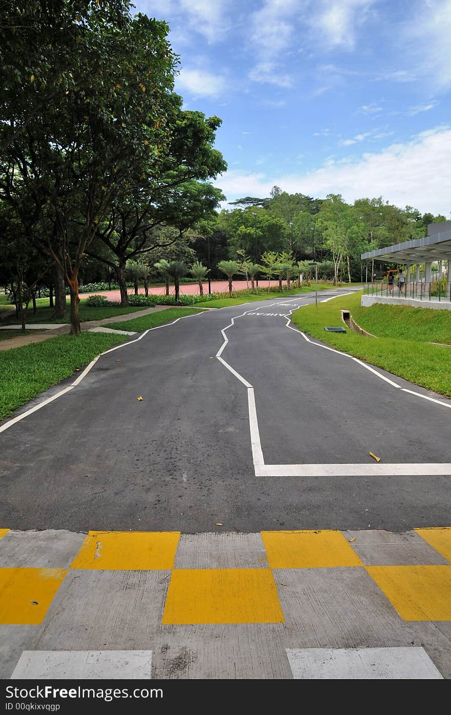 Zebra Crossing And Curve Road