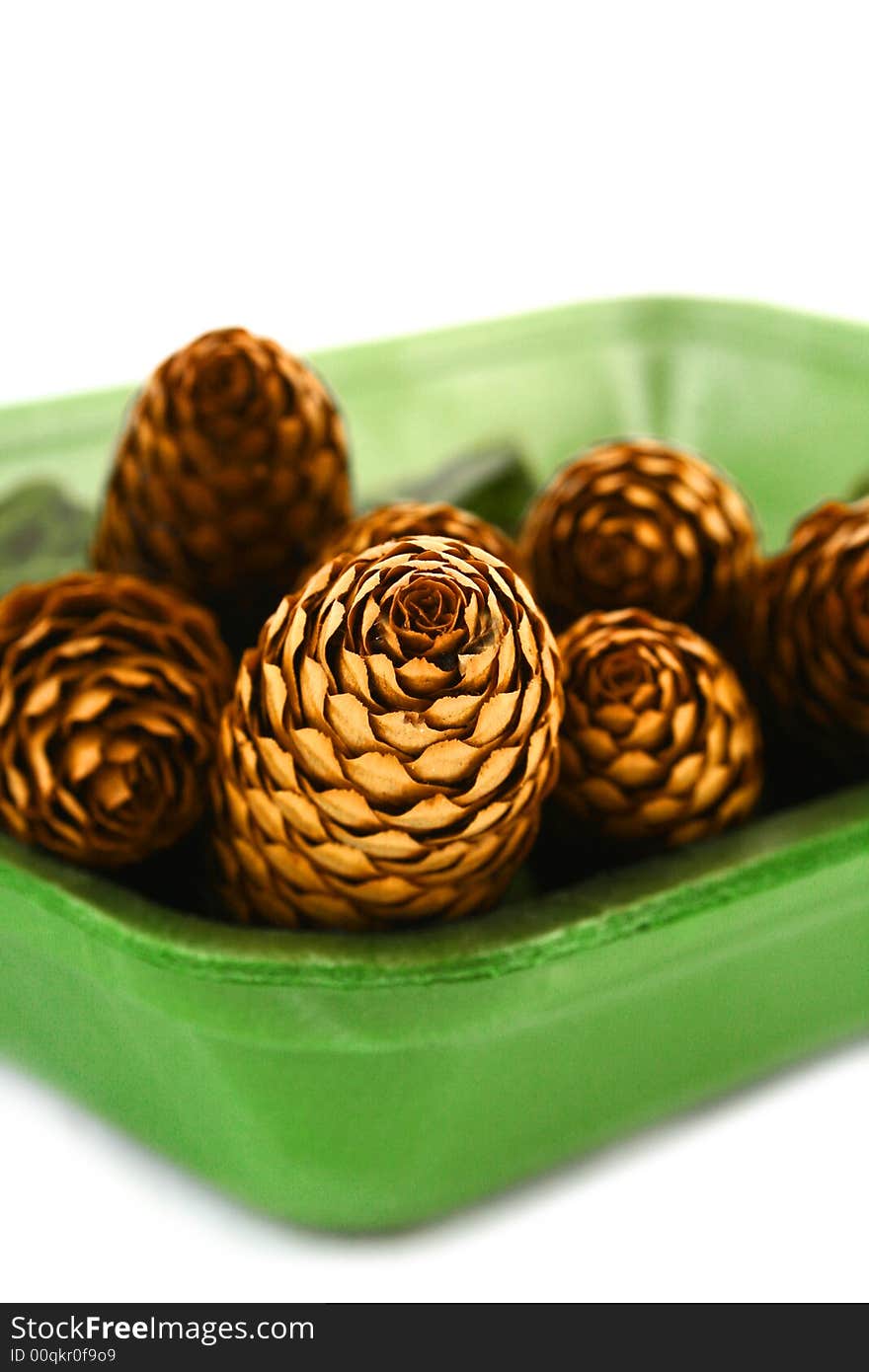 Wood pine fir cones