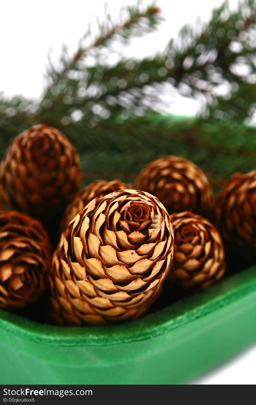 Wood pine fir cones