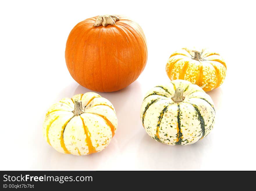 Pumpkins of various colors and sizes.