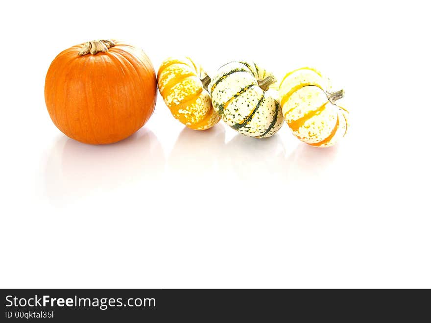 Pumpkins of various colors and sizes.