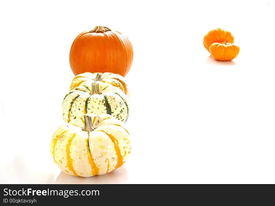 Pumpkins of various colors and sizes.