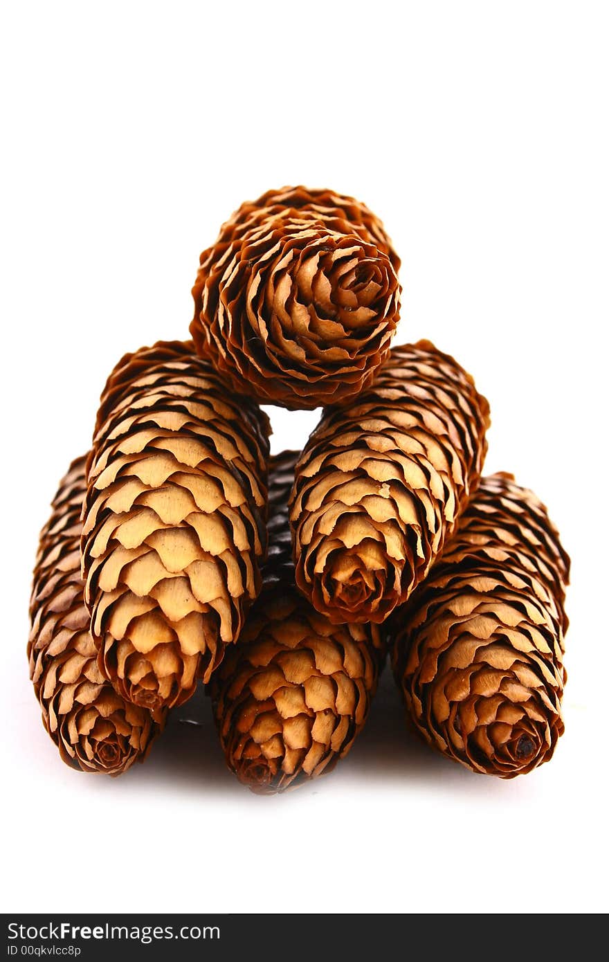 Wood pine fir cones