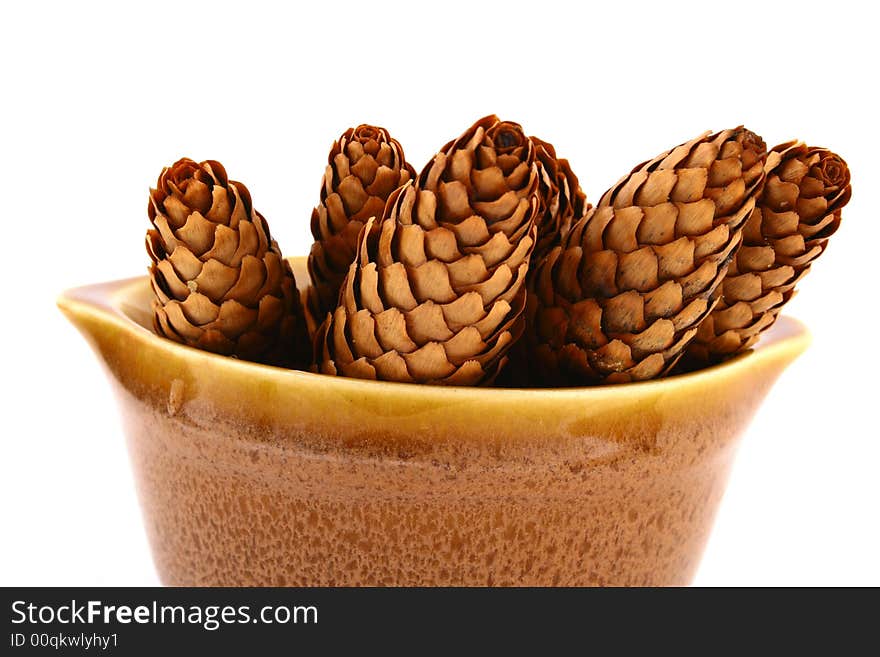 Pine cone isolated on the white background. Pine cone isolated on the white background