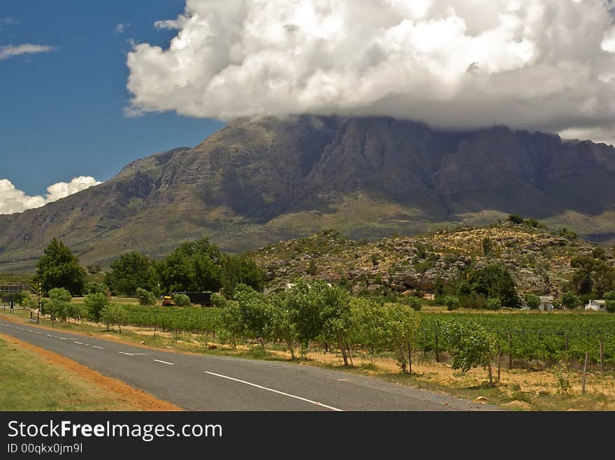 Country road near vineland and mountain against cloudy sky of  South Africa. Country road near vineland and mountain against cloudy sky of  South Africa