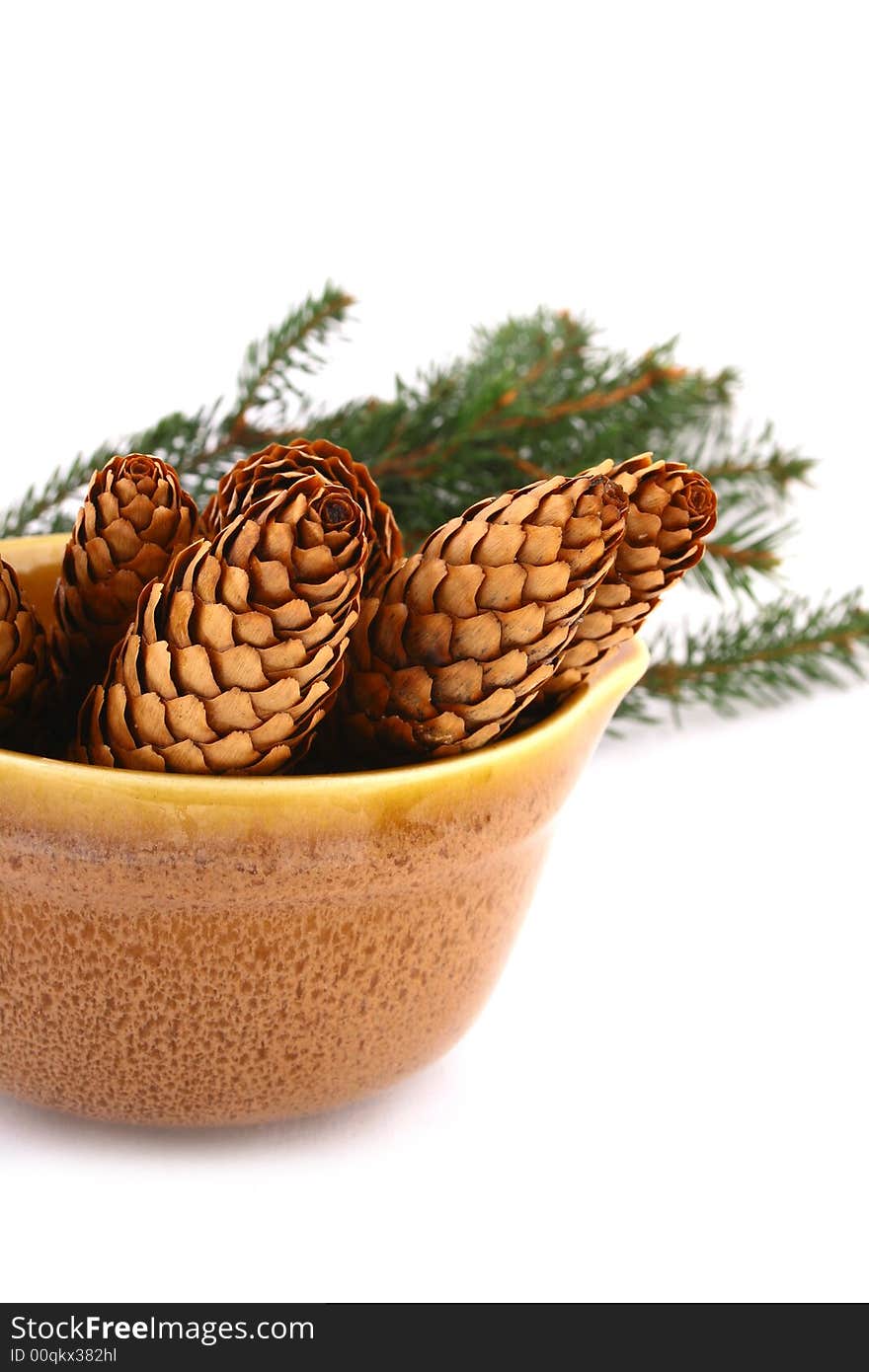 Wood pine fir cones