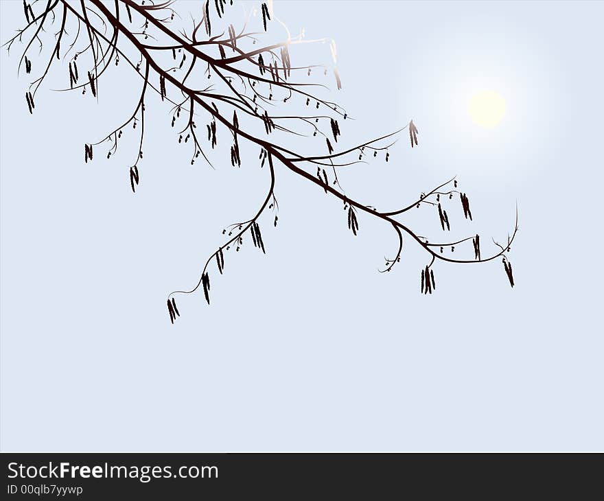 Vector illustration - silhouette of a tree. Vector illustration - silhouette of a tree