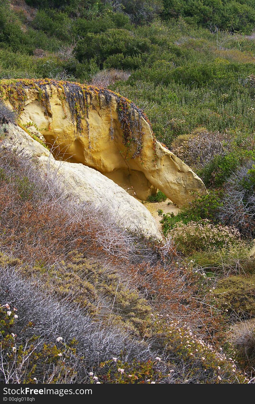 An unusual yellow rock nestled in a hillside of wildflowers