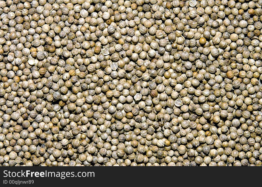 Coriander Seeds