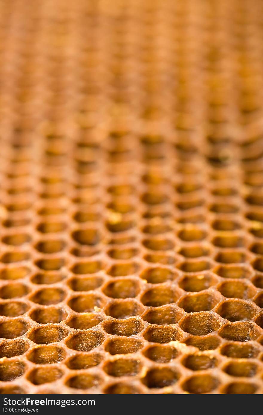 Macro honeycomb vertical image with many cells. Macro honeycomb vertical image with many cells