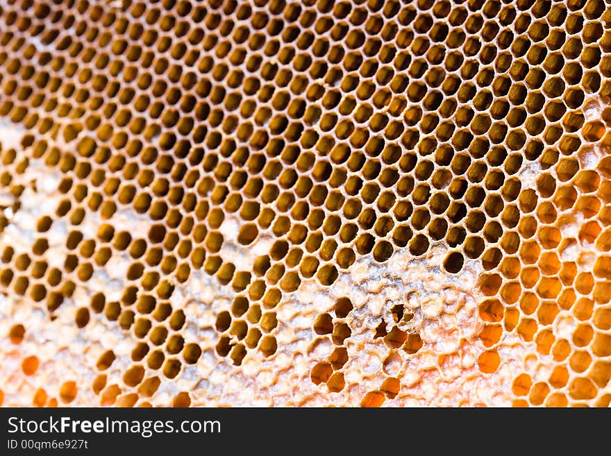 Honeycomb macro with cells