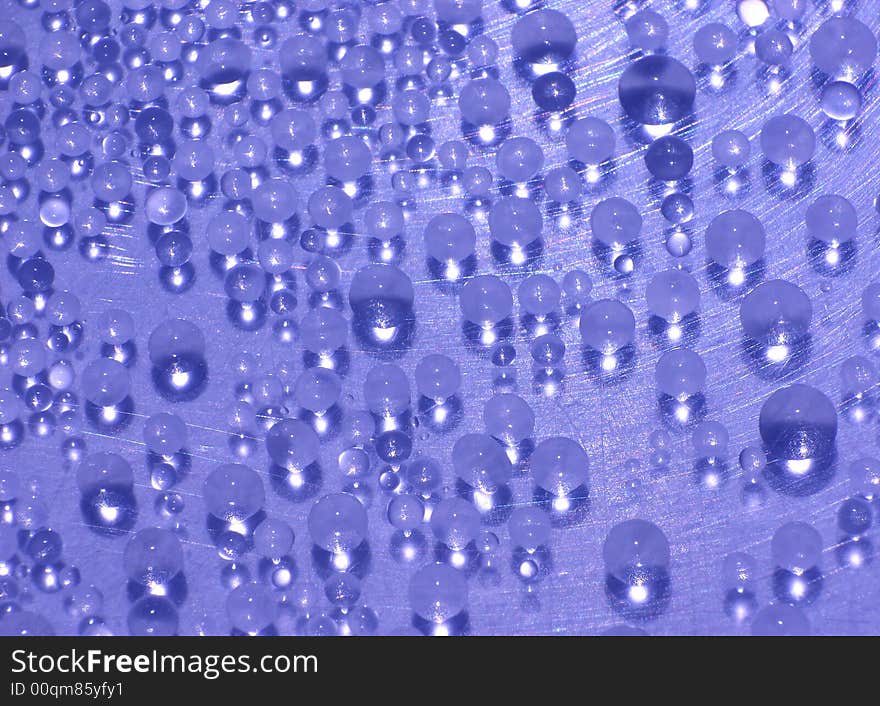 - close-up (macro) of drops - lit by sunlight. - close-up (macro) of drops - lit by sunlight