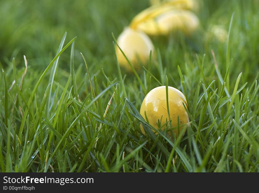 Yellow easter eggs in gras