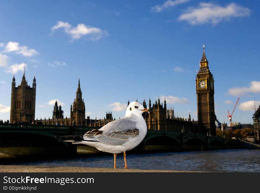 London, beautiful kind on Big Ben