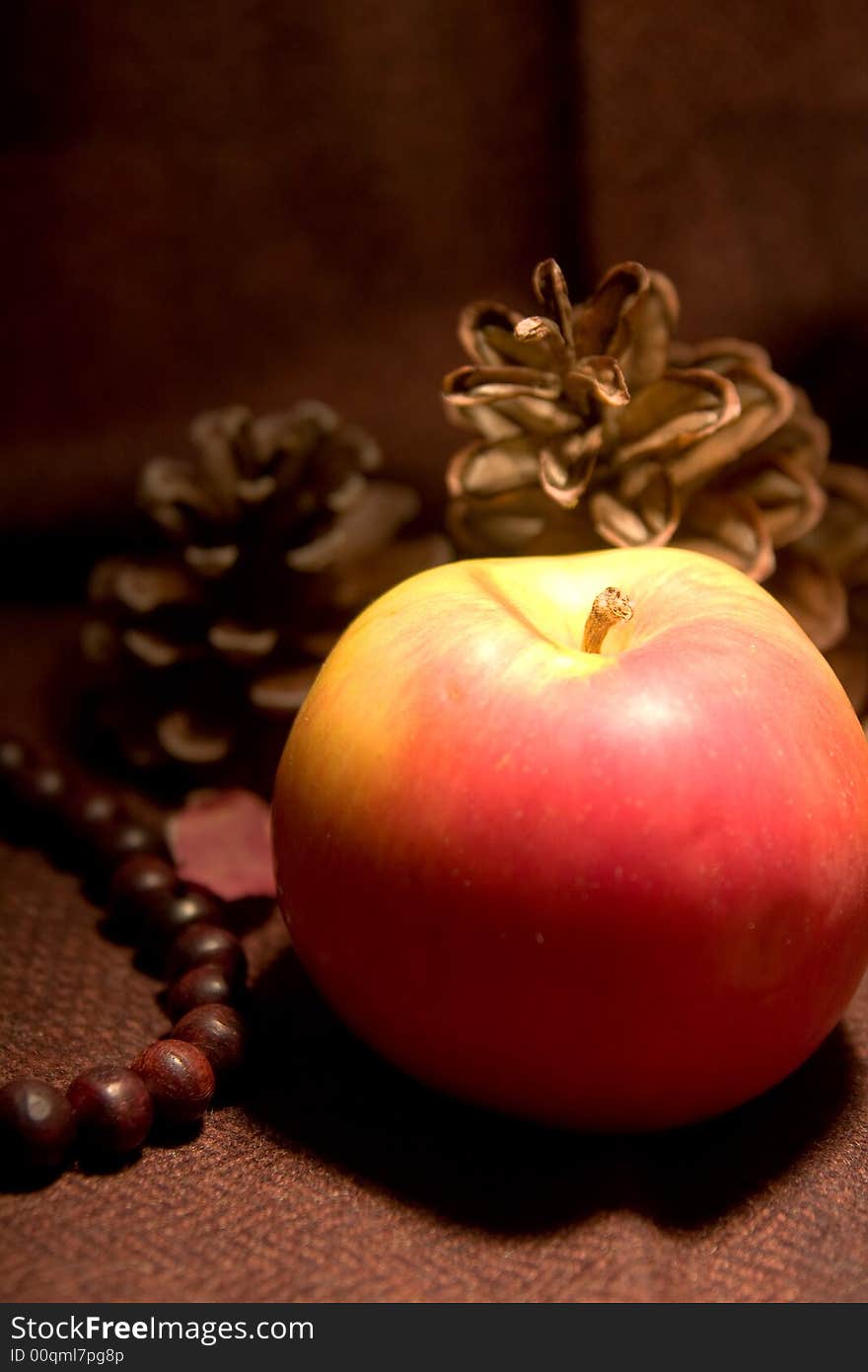 Still life red apple pine tree galls wooden necklace