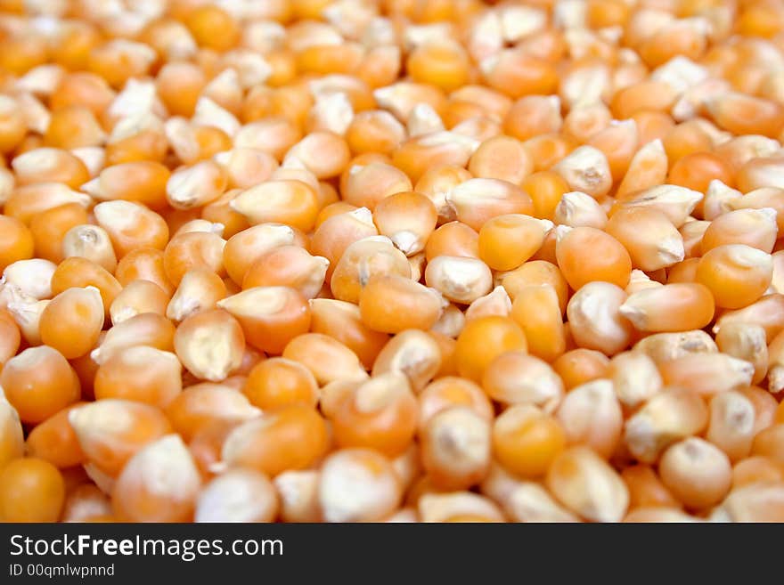 Full frame color photograph of yellow popcorn kernels