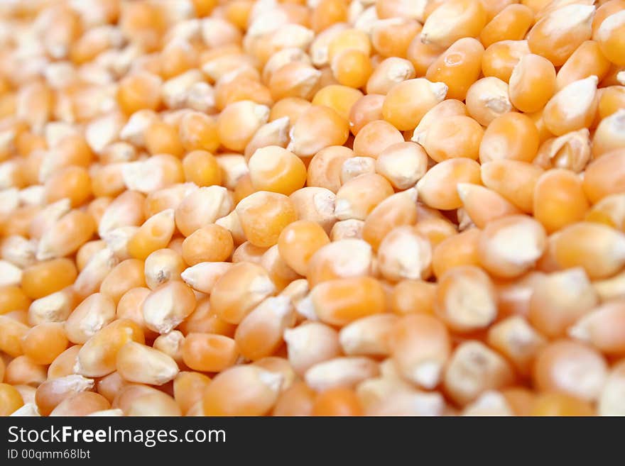 Full frame color photograph of yellow popcorn kernels