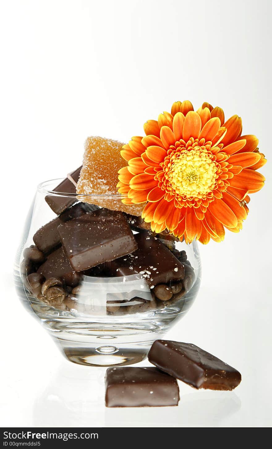 Chocolate Sunny Flower