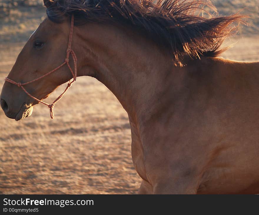 Horsey boy running with a big grin his face. Horsey boy running with a big grin his face.