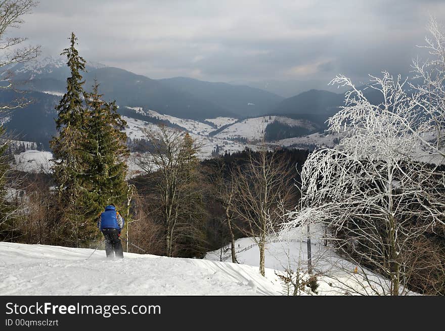 An image of alpine skiing in winter