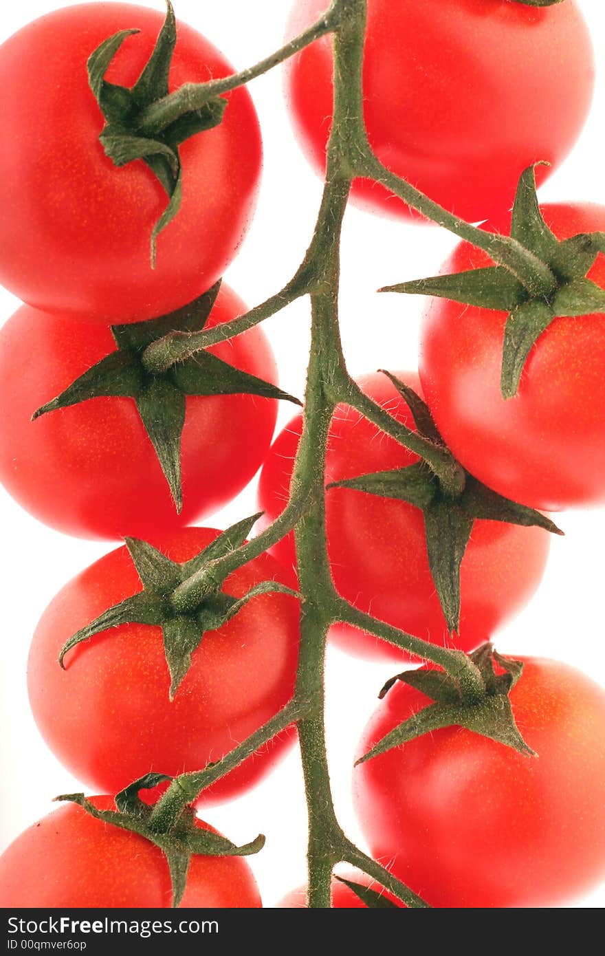 Cherry Tomatoes on a withe background.