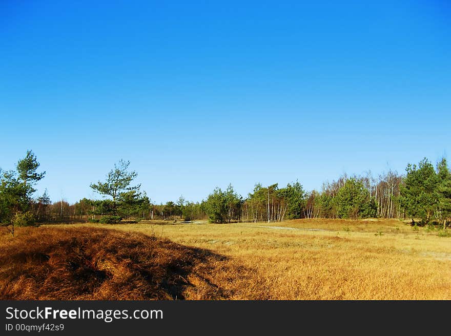 Green fields and clear blue sky. Green fields and clear blue sky