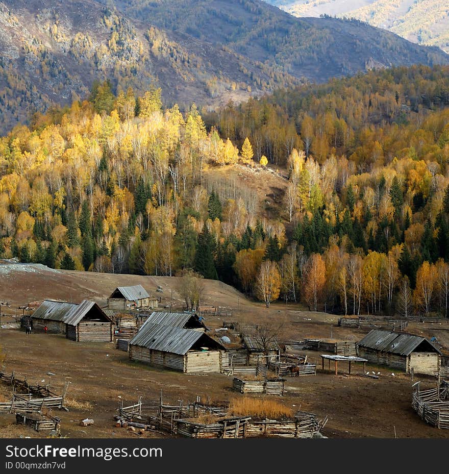 It is a small Village on the way from Kanas to Hemu, which is surrounded by the birch forest on the mountain. 
Northern Xinjiang, China. It is a small Village on the way from Kanas to Hemu, which is surrounded by the birch forest on the mountain. 
Northern Xinjiang, China.