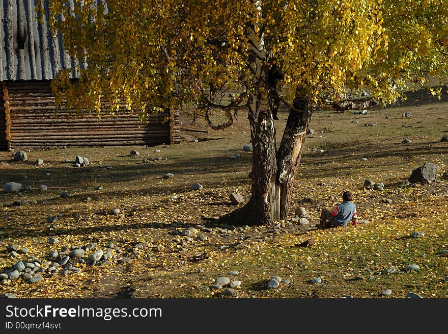 Child under the shade of a tree. Child under the shade of a tree.