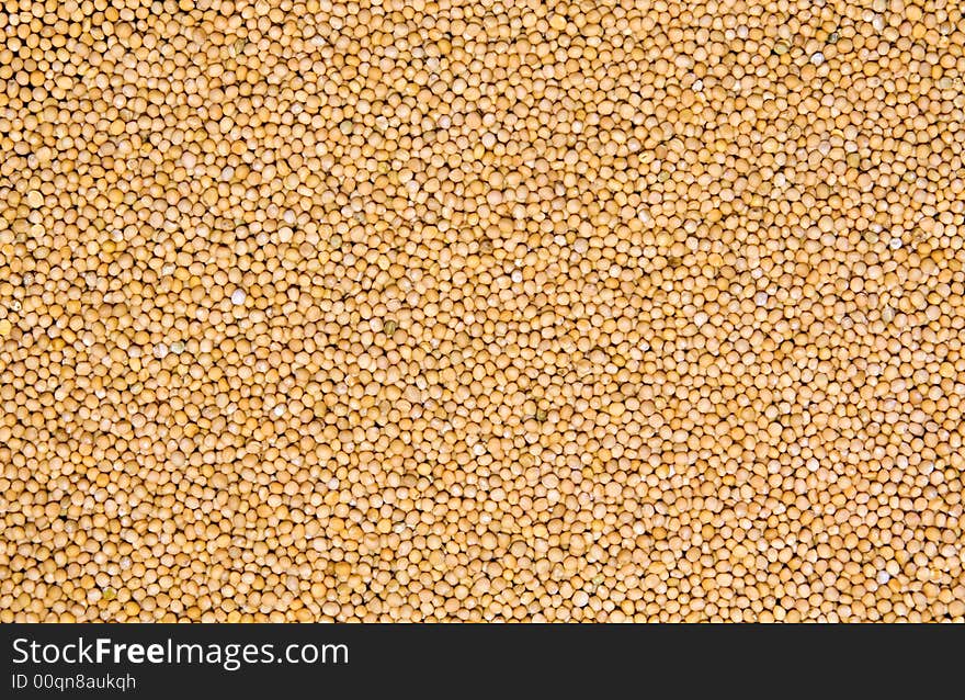 Mustard Seeds