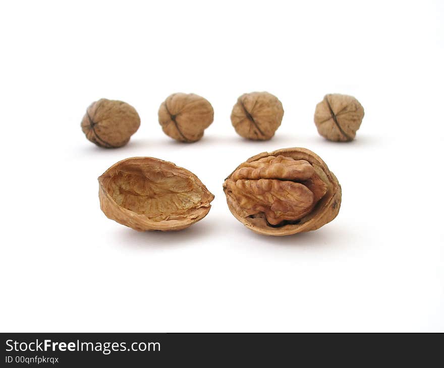 Walnut