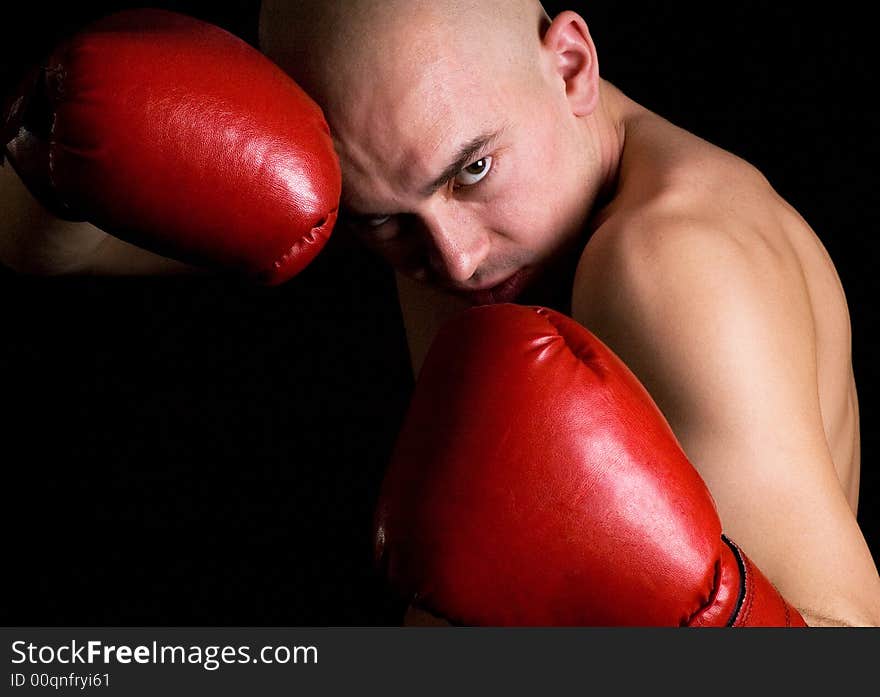 Portrait of the boxer on a black background. Portrait of the boxer on a black background.