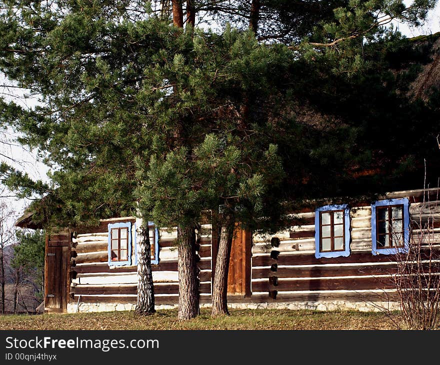 Trees And Cabin