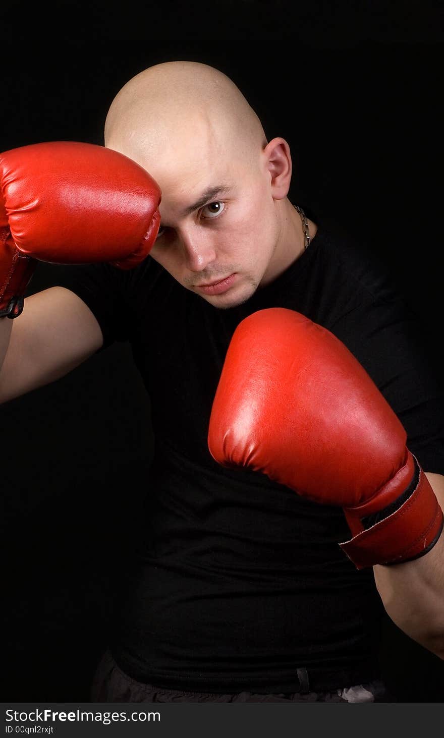 Portrait of the boxer on a black background. Portrait of the boxer on a black background.