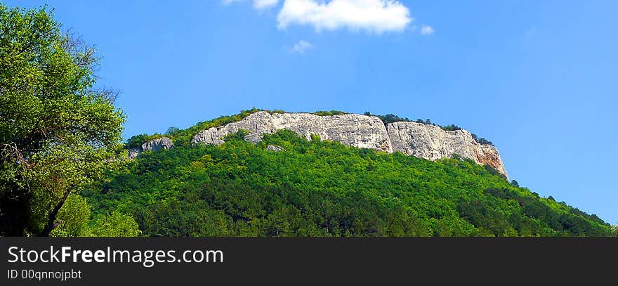 Panoramic Image of the Hill Covered by Green Forest. Panoramic Image of the Hill Covered by Green Forest