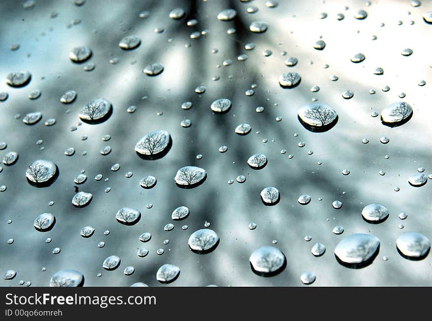 Reflections of a tree in bubbles on a winshield. Reflections of a tree in bubbles on a winshield.