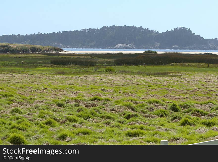 A grassy meadow with the ocean in the background