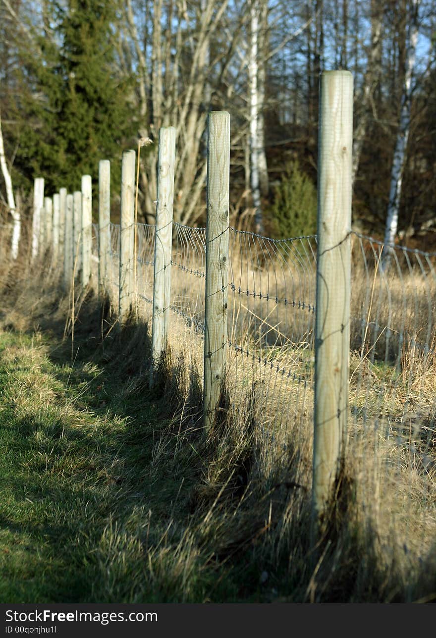 Fence with tree poles with focus on second pole