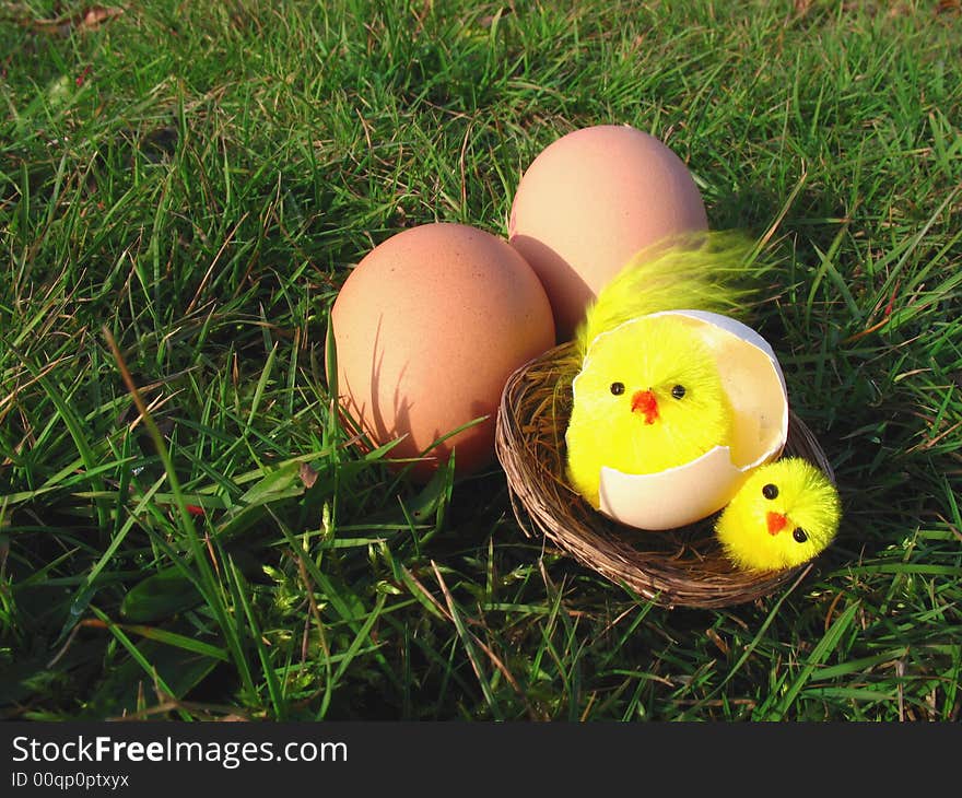 Easter still life with grass, eggs and chicken