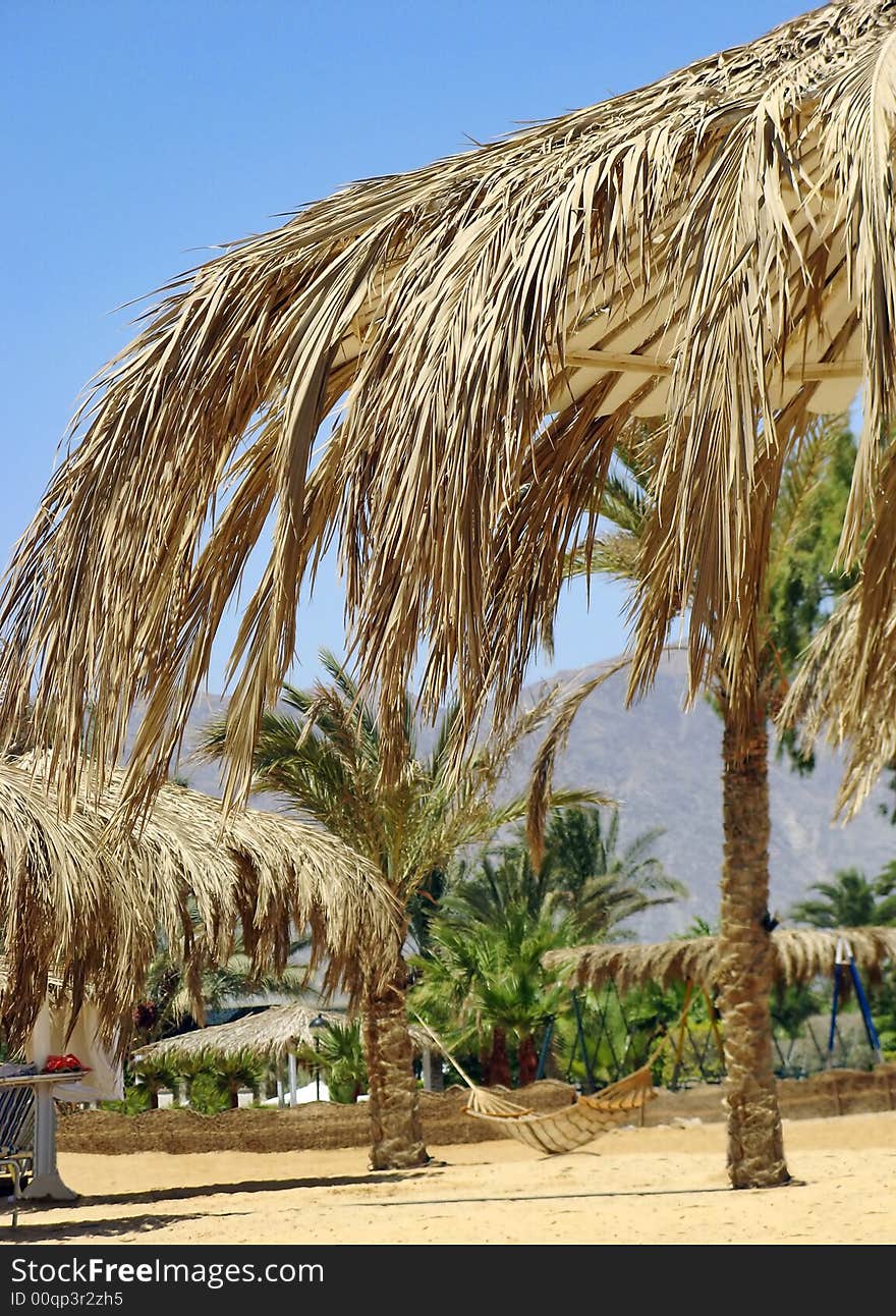 Egypt - resort Nuweiba - palms with hammock. Egypt - resort Nuweiba - palms with hammock