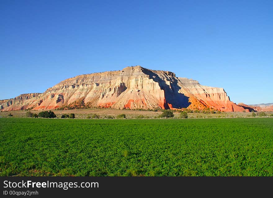 View of a hay Field with red rock mountain in the background. View of a hay Field with red rock mountain in the background