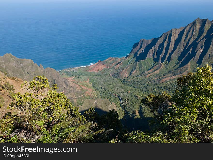 Kokee State Park Ocean Vista