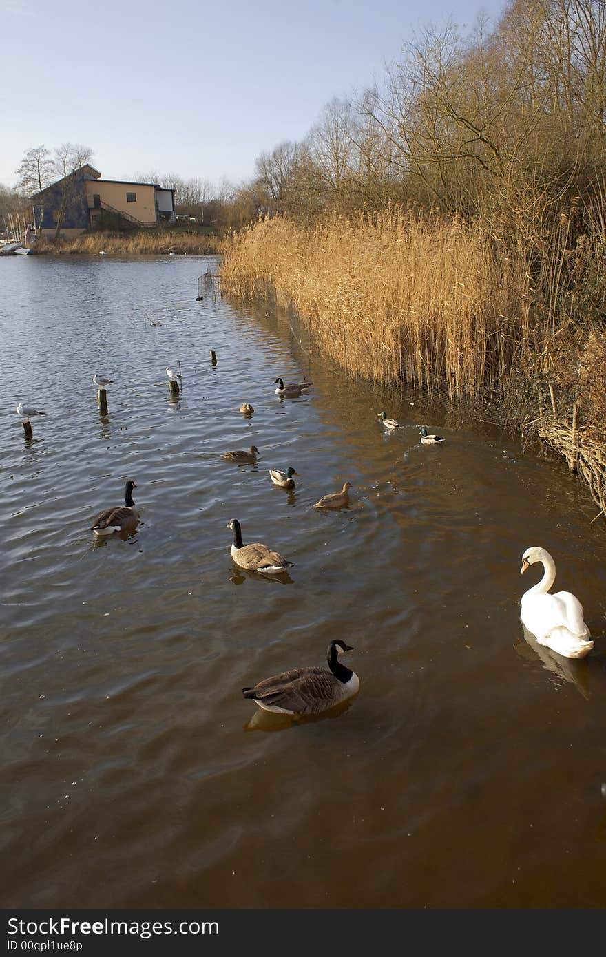 The arrow valley lake country park redditch worcestershire midlands england uk.