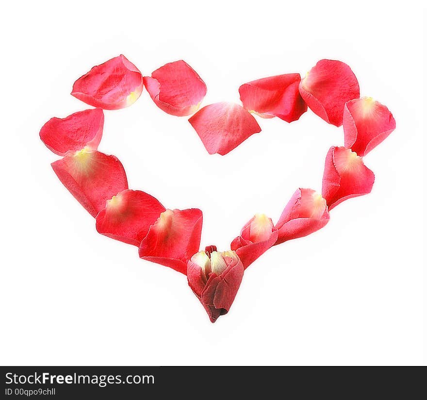 Valentine heart from roses petals on the white background