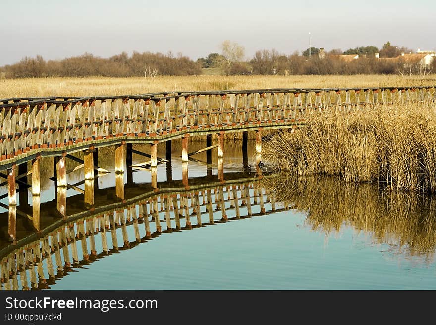 Reflectiones on the lake of the path. Reflectiones on the lake of the path